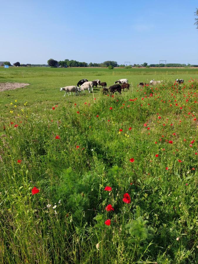 Boerderijkamer De Hooizolder Wijhe Buitenkant foto